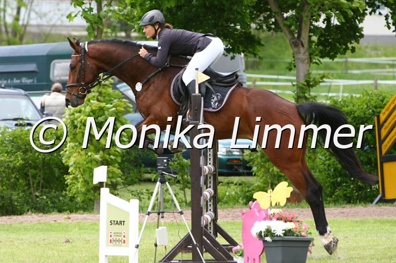 204M0696_Look at me_Spr_Pferde_A.JPG